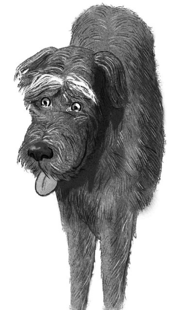 Иллюстрация к книге — Пёс из лунного света [i_020.jpg]