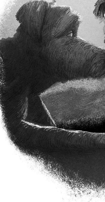 Иллюстрация к книге — Пёс из лунного света [i_048.jpg]