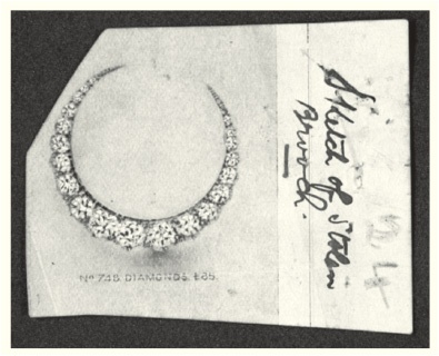 Иллюстрация к книге — Конан Дойль на стороне защиты [i_011.jpg]