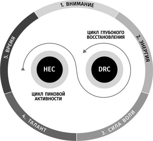 Иллюстрация к книге — Клуб «5 часов утра» [i_020.jpg]