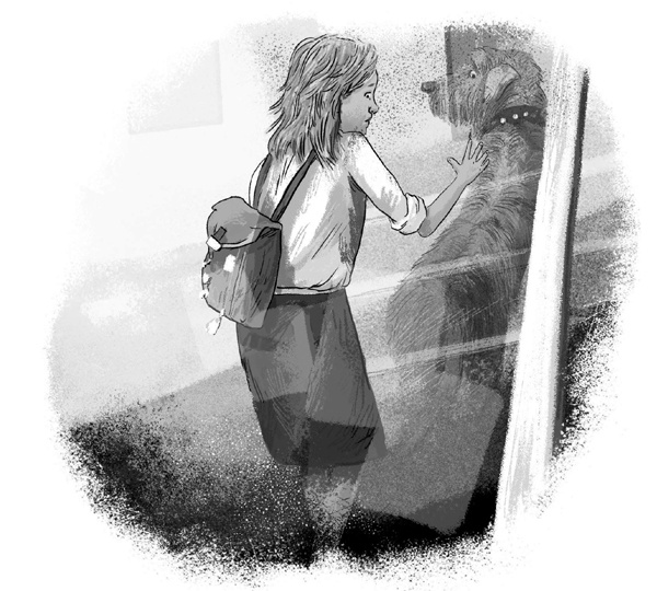 Иллюстрация к книге — Тайная лестница [block_001223118.jpg]