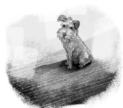 Иллюстрация к книге — Тайная лестница [block_00122387.jpg]