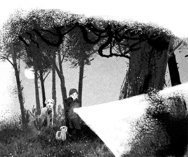 Иллюстрация к книге — Дерево с секретом [i_040.jpg]