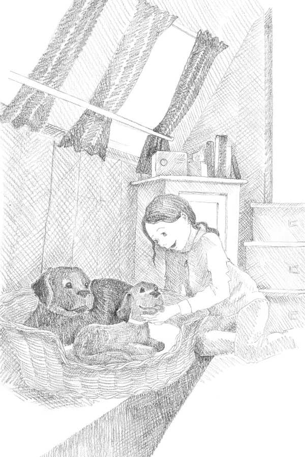 Иллюстрация к книге — Щенок Фред, или Уплывший дом [block_001144129.jpg]