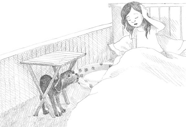 Иллюстрация к книге — Щенок Фред, или Уплывший дом [block_00114445.jpg]