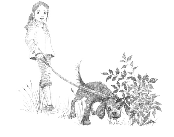 Иллюстрация к книге — Щенок Фред, или Уплывший дом [block_00114452.jpg]