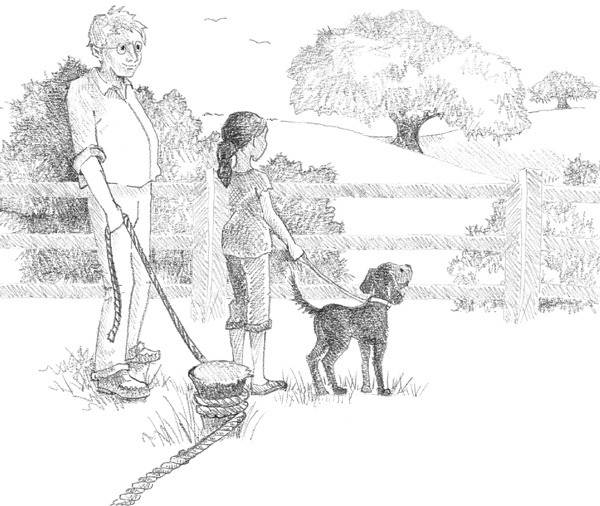 Иллюстрация к книге — Щенок Фред, или Уплывший дом [block_00114458.jpg]