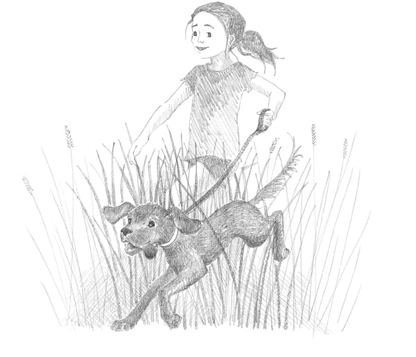 Иллюстрация к книге — Щенок Фред, или Уплывший дом [block_00114461.jpg]