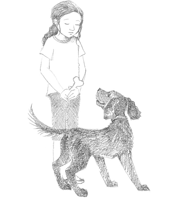 Иллюстрация к книге — Щенок Фред, или Уплывший дом [block_00114466.jpg]