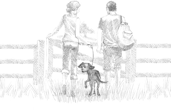 Иллюстрация к книге — Щенок Фред, или Уплывший дом [block_00114469.jpg]