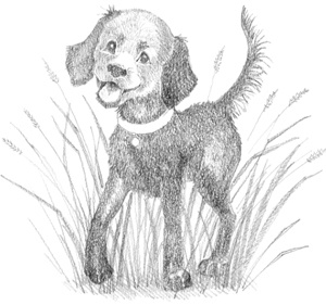 Иллюстрация к книге — Щенок Фред, или Уплывший дом [block_0011447.jpg_0.jpg]