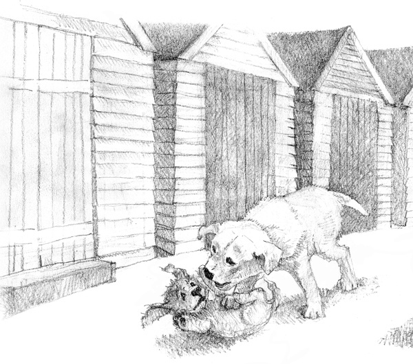 Иллюстрация к книге — Щенок Молли, или Ищу хозяйку [block_00114458.jpg]