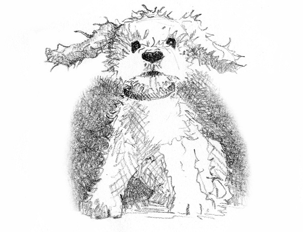 Иллюстрация к книге — Щенок Молли, или Ищу хозяйку [block_00114471.jpg]