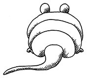 Иллюстрация к книге — Новый физический фейерверк [i_056.jpg]