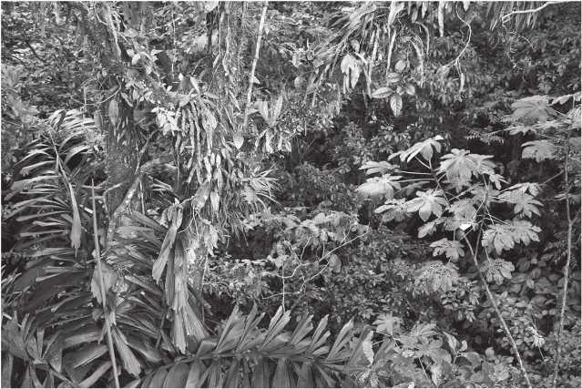 Иллюстрация к книге — Энергия и цивилизация [i_008.jpg]