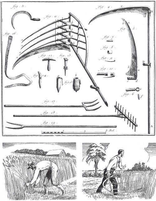 Иллюстрация к книге — Энергия и цивилизация [i_015.jpg]