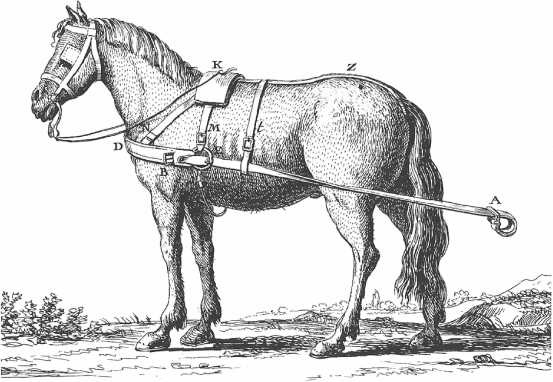 Иллюстрация к книге — Энергия и цивилизация [i_021.jpg]