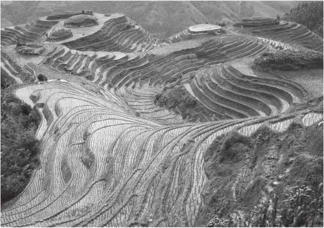 Иллюстрация к книге — Энергия и цивилизация [i_028.jpg]