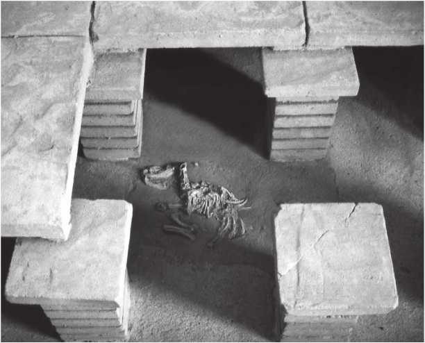 Иллюстрация к книге — Энергия и цивилизация [i_055.jpg]