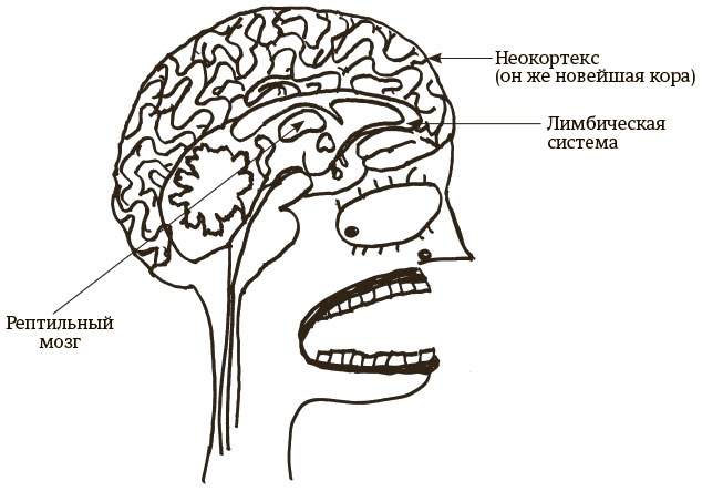 Иллюстрация к книге — Быть собой [i_001.jpg]