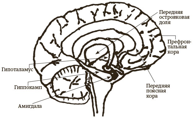Иллюстрация к книге — Быть собой [i_003.jpg]