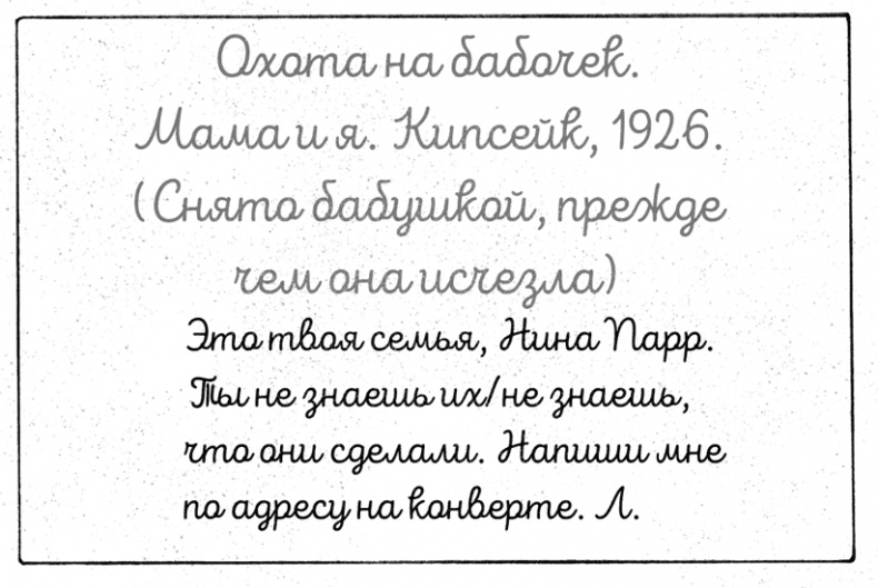 Иллюстрация к книге — Лето бабочек  [i_002.jpg]