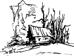 Иллюстрация к книге — Наедине с суровой красотой. Как я потеряла все, что казалось важным, и научилась любить [i_001.jpg]