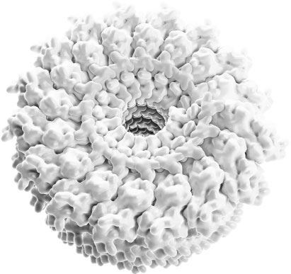 Иллюстрация к книге — Взламывая биологию [i_005.jpg]