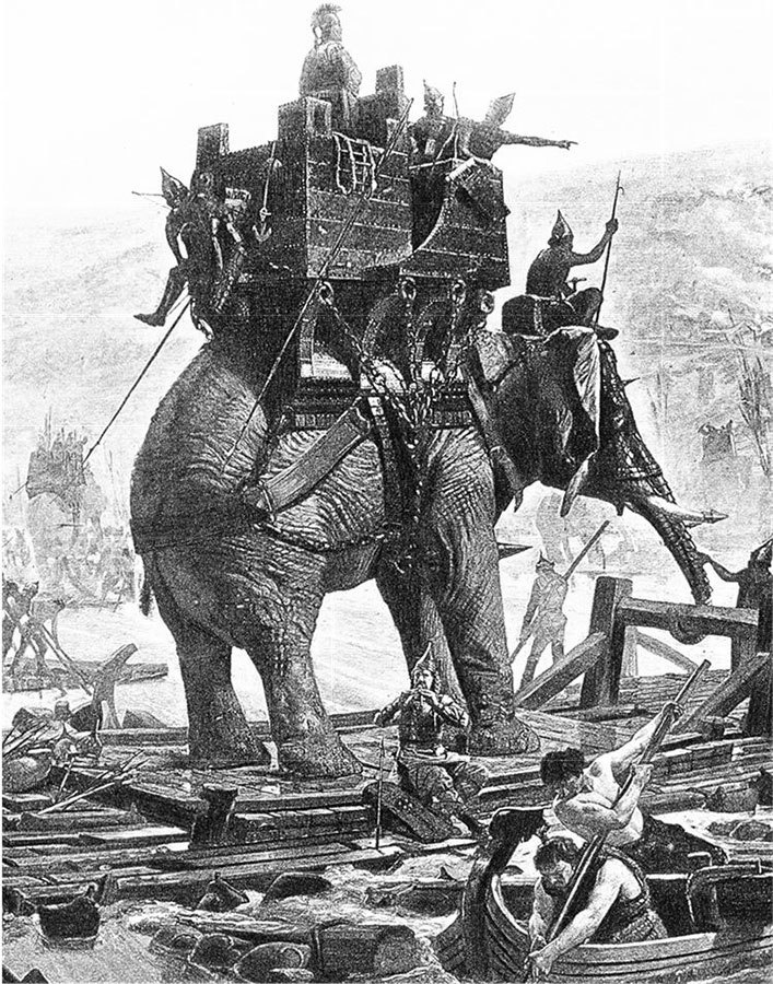 Иллюстрация к книге — Взламывая биологию [i_008.jpg]