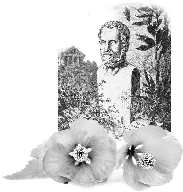 Иллюстрация к книге — Взламывая биологию [i_014.jpg]