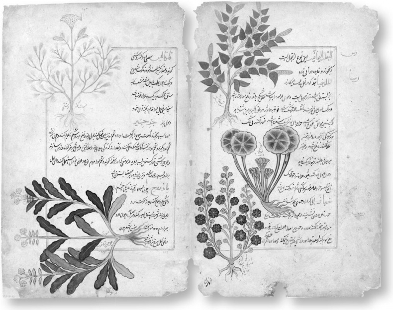 Иллюстрация к книге — Взламывая биологию [i_025.jpg]