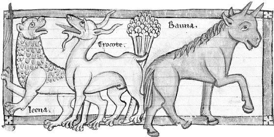 Иллюстрация к книге — Взламывая биологию [i_028.jpg]