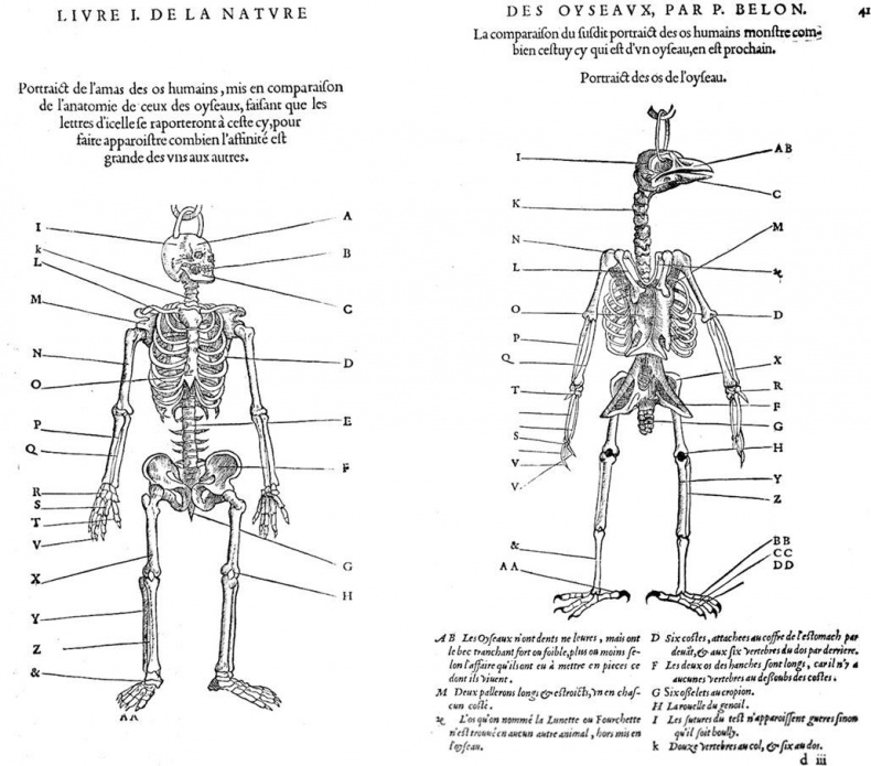 Иллюстрация к книге — Взламывая биологию [i_037.jpg]
