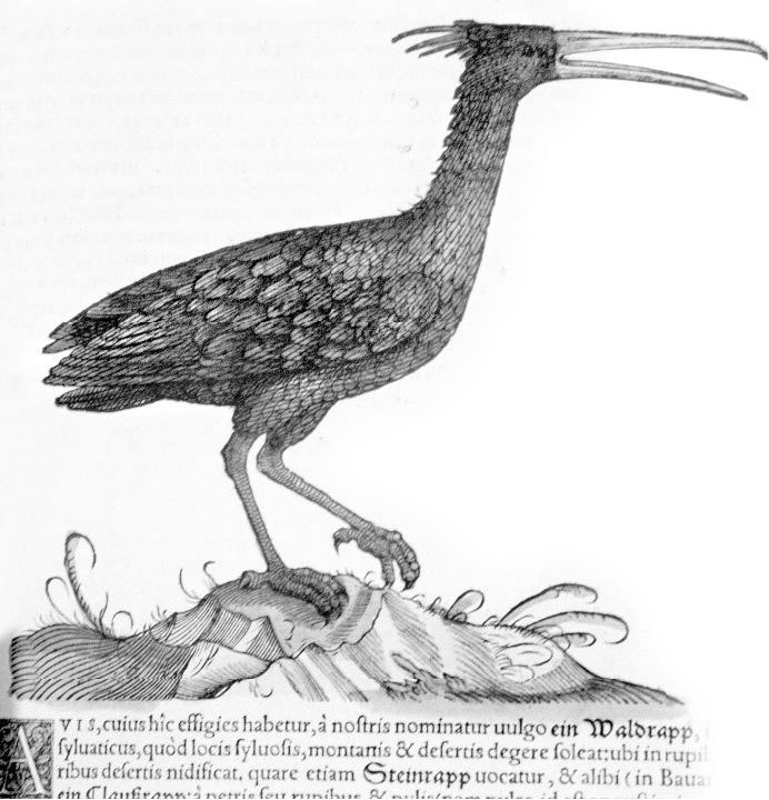 Иллюстрация к книге — Взламывая биологию [i_040.jpg]