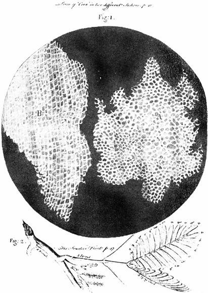 Иллюстрация к книге — Взламывая биологию [i_052.jpg]