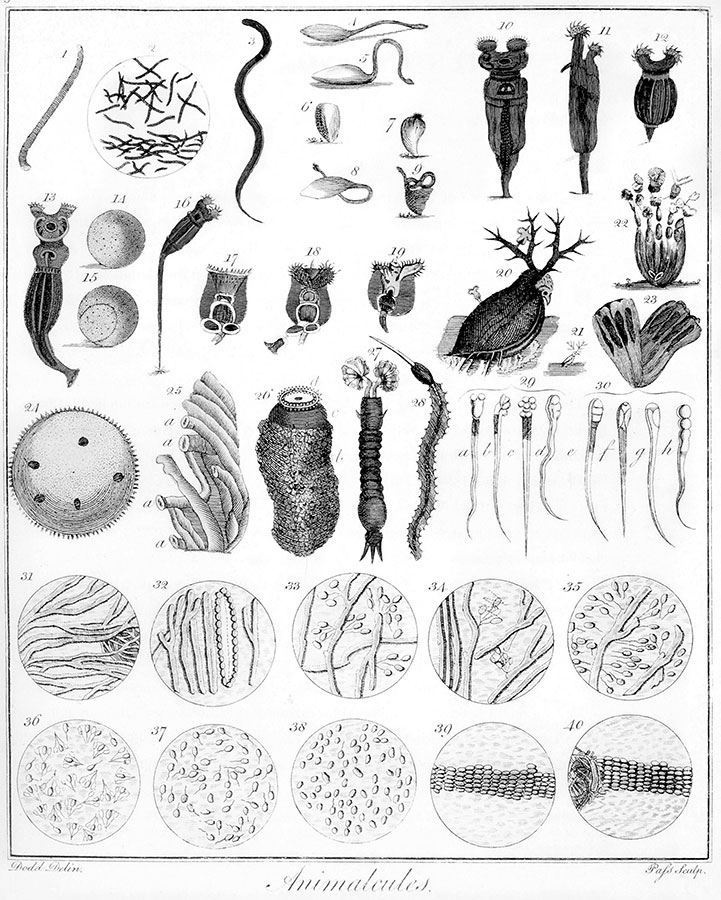 Иллюстрация к книге — Взламывая биологию [i_056.jpg]