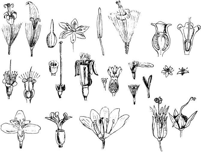 Иллюстрация к книге — Взламывая биологию [i_064.jpg]