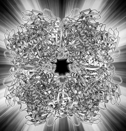 Иллюстрация к книге — Взламывая биологию [i_077.jpg]