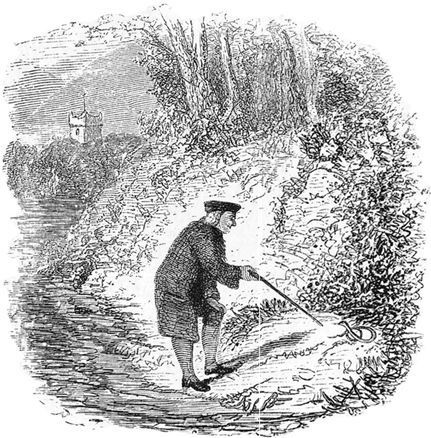 Иллюстрация к книге — Взламывая биологию [i_082.jpg]