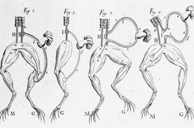 Иллюстрация к книге — Взламывая биологию [i_085.jpg]