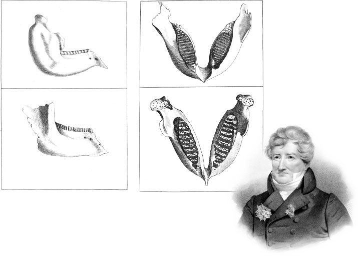 Иллюстрация к книге — Взламывая биологию [i_087.jpg]