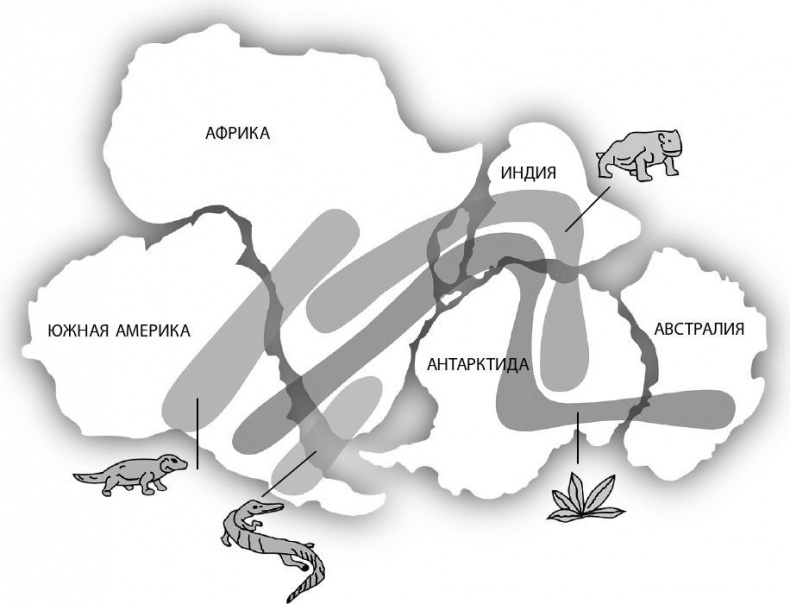 Иллюстрация к книге — Взламывая биологию [i_089.jpg]