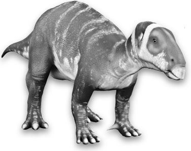 Иллюстрация к книге — Взламывая биологию [i_094.jpg]