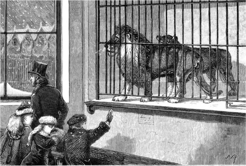 Иллюстрация к книге — Взламывая биологию [i_096.jpg]