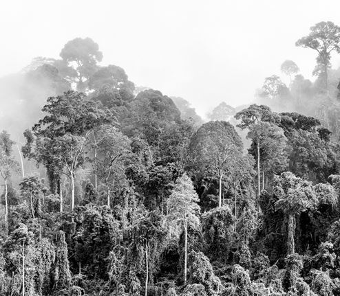 Иллюстрация к книге — Взламывая биологию [i_101.jpg]