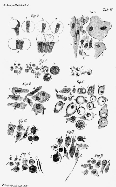 Иллюстрация к книге — Взламывая биологию [i_108.jpg]