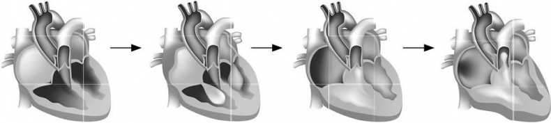 Иллюстрация к книге — Взламывая биологию [i_111.jpg]