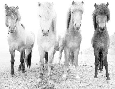 Иллюстрация к книге — Взламывая биологию [i_118.jpg]