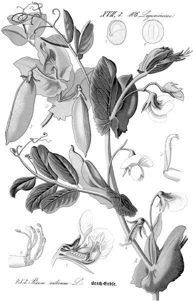 Иллюстрация к книге — Взламывая биологию [i_120.jpg]