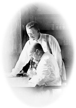 Иллюстрация к книге — Взламывая биологию [i_132.jpg]